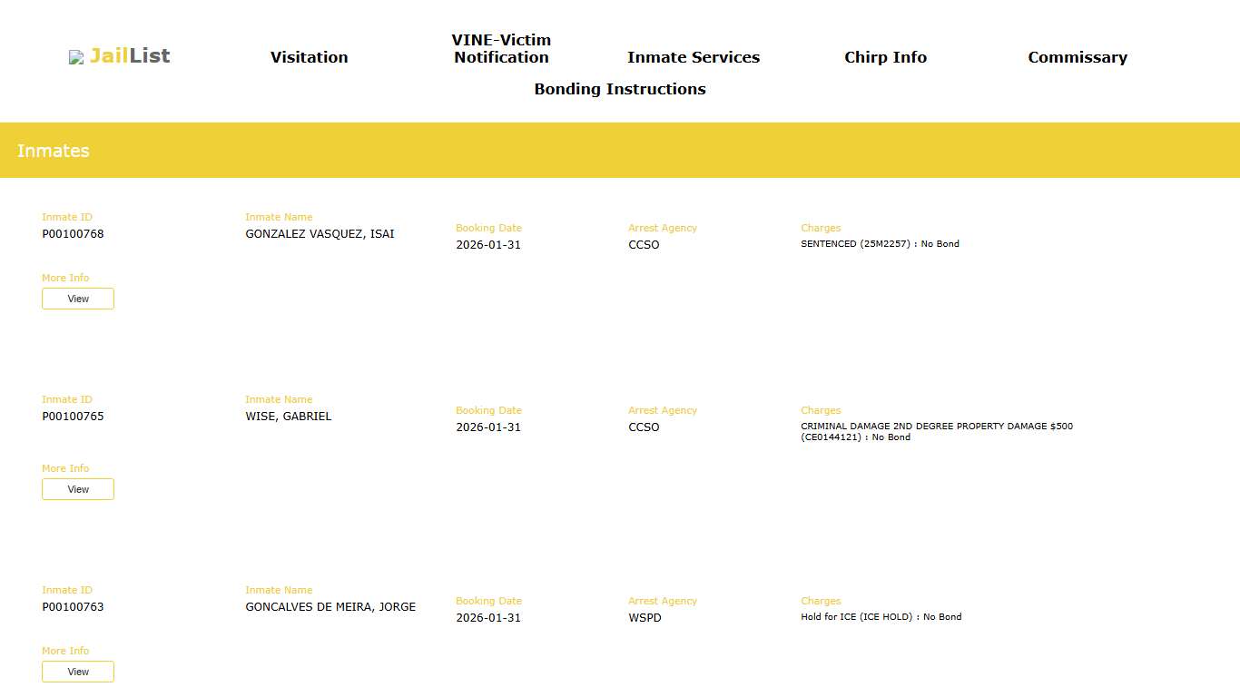 Cherokee County Inmate Search
